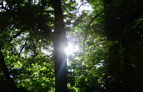 Предимно слънчево, краткотрайни валежи над Родопите