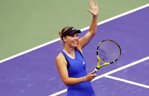 Двукратната шампионка на Уимбълдън Квитова роди син