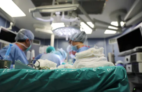 Почина първата жена с трансплантиран свински бъбрек