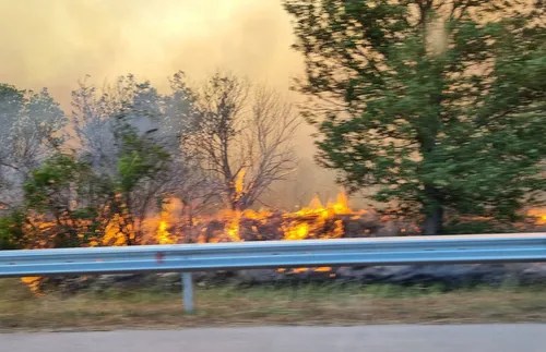 Над 200 пожара бушуват в страната, 100 хиляди декара горят край Свиленград
