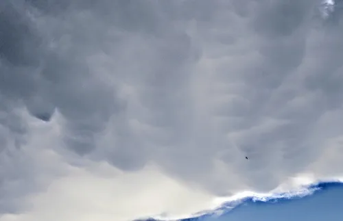 Градушка унищожи насаждения в Русе, пострадаха 30 производители на плодове - ВИДЕО