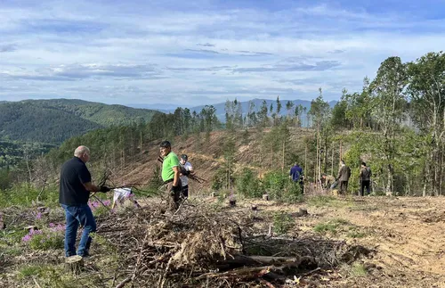 Пожарът над село Фролош все още е активен
