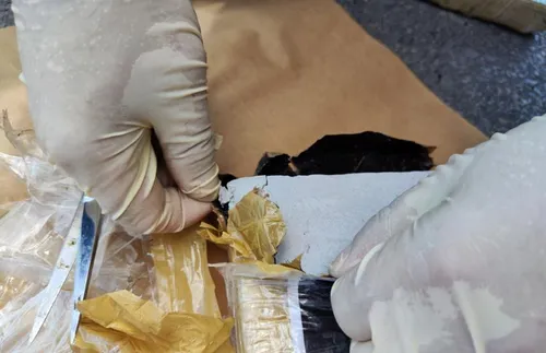 Испания прекъсна ключов път на латиноамерикански кокаин към Европа