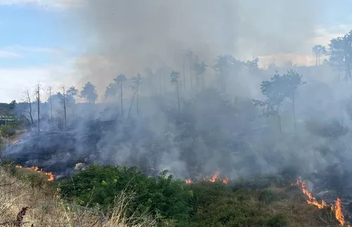 Пожарът в Гърция се разраства към българската граница