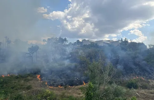 Пожарът в планината Славянка е овладян - СНИМКИ