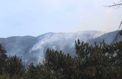 Продължават усилията за овладяване на пожара на българо-гръцката граница - ВИДЕО