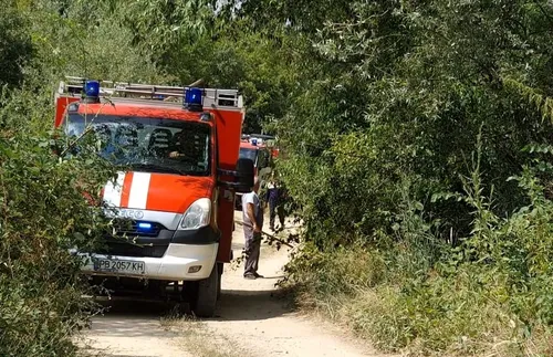 Огнеборци гасят пожар в подножието на Витоша в София
