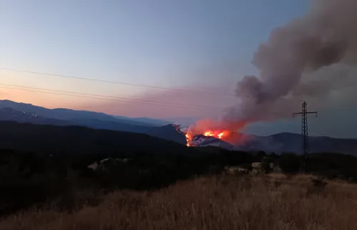 Пожар край Цепарево тръгна към къщите в селото, гасенето продължава утре - подробности - СНИМКИ