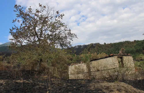 Сенокос: Плачът на изгорената земя - СНИМКИ - ВИДЕО