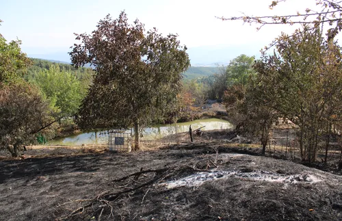 Пожарът в планината Славянка продължава да гори активно - СНИМКИ