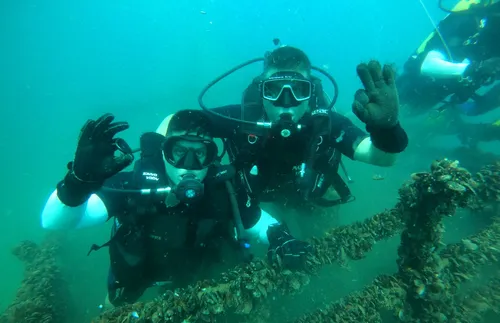 Водолази от Сухопътните войски повишиха подготовката си - СНИМКИ