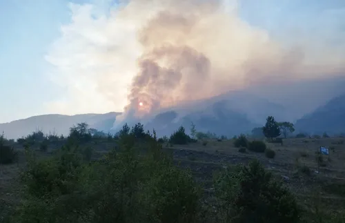 Двата фронта на пожара в планината Славянка на българска територия са овладени