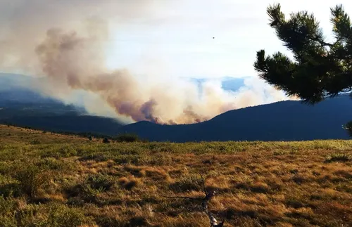 Много висока е опасността от пожари в цяла България