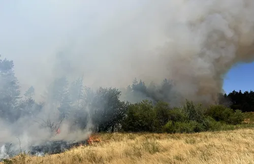 Пожар гори край горското стопанство в Самоков, заплашва село Алино - СНИМКИ