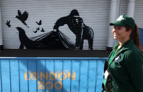 Банкси украси с горила, тюлен и птици зоологическата градина в Лондон - СНИМКИ