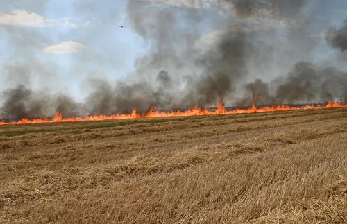 Горските пожари във Франция принудиха хиляди да избягат