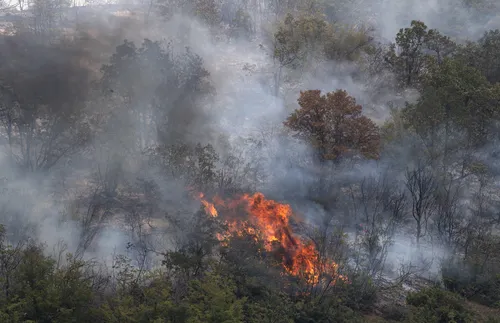 6 загинали при пожар в Сърбия
