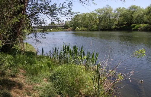 Издирват момче на 9 години, влязло да се къпе в река Марица