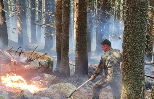 Пожарът в Рила: 20 военни гасят в местността „Байрамица”, Ми-17 облива с вода от въздуха - подробности - СНИМКИ