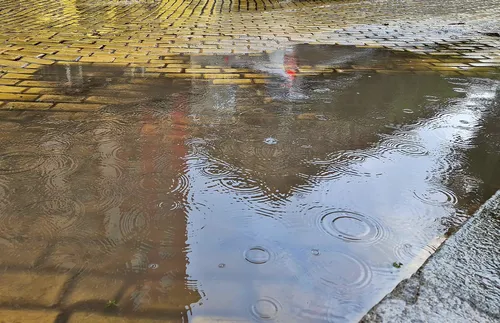 Наводнени сгради и повредена инфраструктура в Добрич