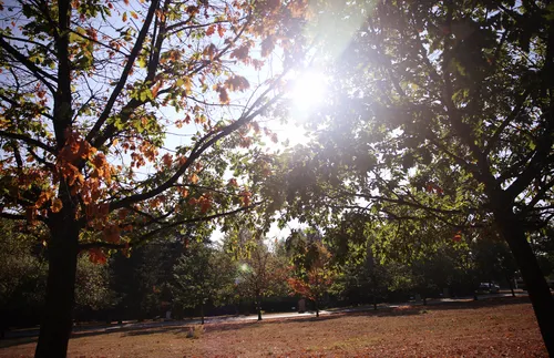 Слънчево, затоплянето продължава и днес