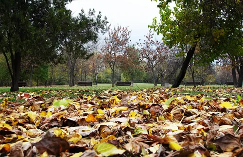 Енергизиращи съвети за есента