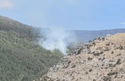 Огнеборци гасят пожар в гората под връх Бузлуджа - СНИМКИ