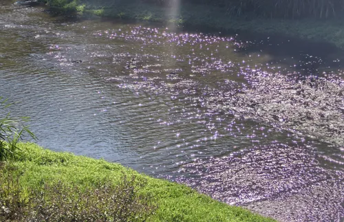Под надзора на Районна прокуратура – Перник се разследва допуснато замърсяване на река Струма