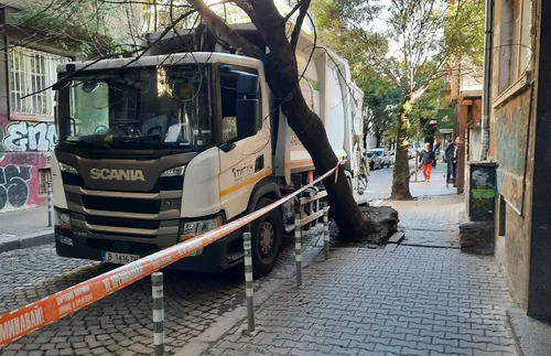 Камион за боклук изкърти дърво на улица „Христо Белчев“ в София - СНИМКИ
