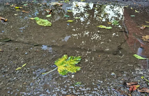 Топло, с валежи над Западна България, в сряда, 9 октомври