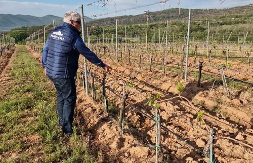 Правителството разглежда ключови промени за земеделците у нас